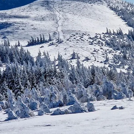 Au Pied Des Pistes A Super - Fr-1-814-50 *