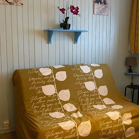 아파트 Au Pied Des Pistes A Super - Fr-1-814-50 베세-에-생타나스타시